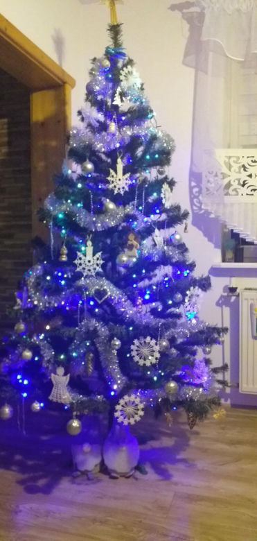 Żywe i sztuczne. Nasi Czytelnicy pochwalili się swoimi choinkami. Zobacz zdjęcia!