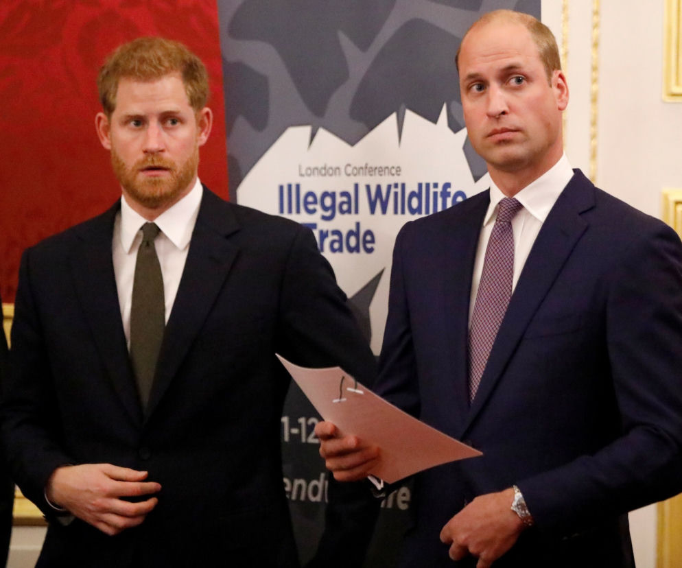 Książę Harry, książę William