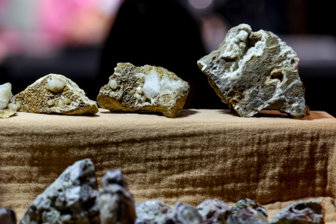 Giełda minerałów w Spodku przyciągnęła tłumy! GeoExpo ekspozycję wspaniałych cudeniek