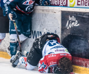 KH Energa Toruń - Lotos PKH Gdańsk, zdjęcia z Tor-Toru