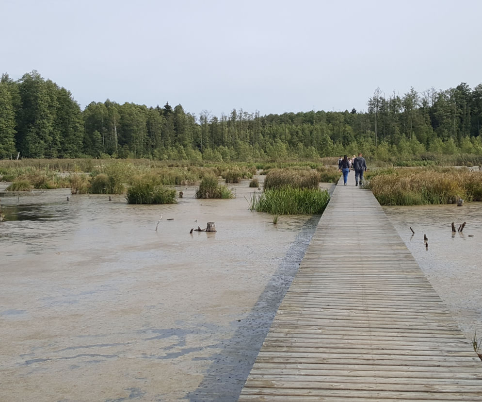 Podlasie