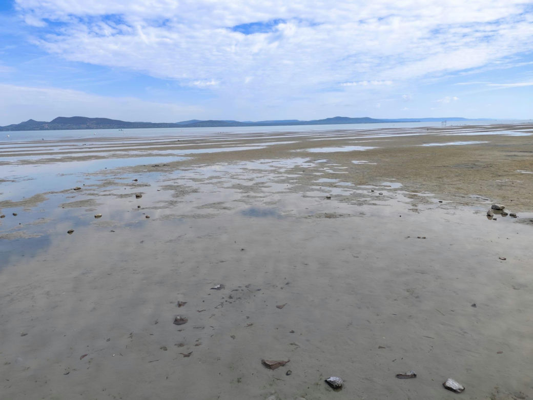 Balaton wysycha i zamienia się w kałużę. Potężne jezioro odsłoniło dno