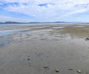 Balaton wysycha i zamienia się w kałużę. Potężne jezioro odsłoniło dno
