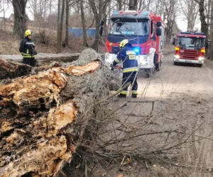 Wichury nad Polską. Połamane drzewa, zerwane dachy. Strażacy odnotowali ponad 600 interwencji