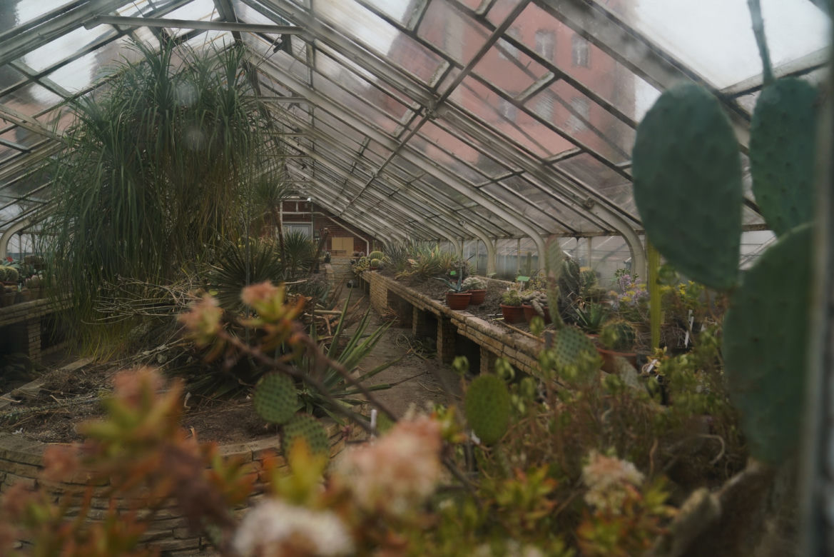 Arboretum w Wojsławicach otwarte po zimowej przerwie