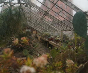 Arboretum w Wojsławicach otwarte po zimowej przerwie