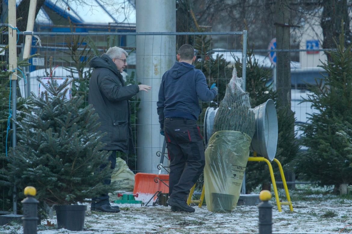 Europoseł PiS Ryszard Czarnecki kupił choinkę w Warszawie