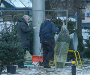 Europoseł PiS Ryszard Czarnecki kupił choinkę w Warszawie