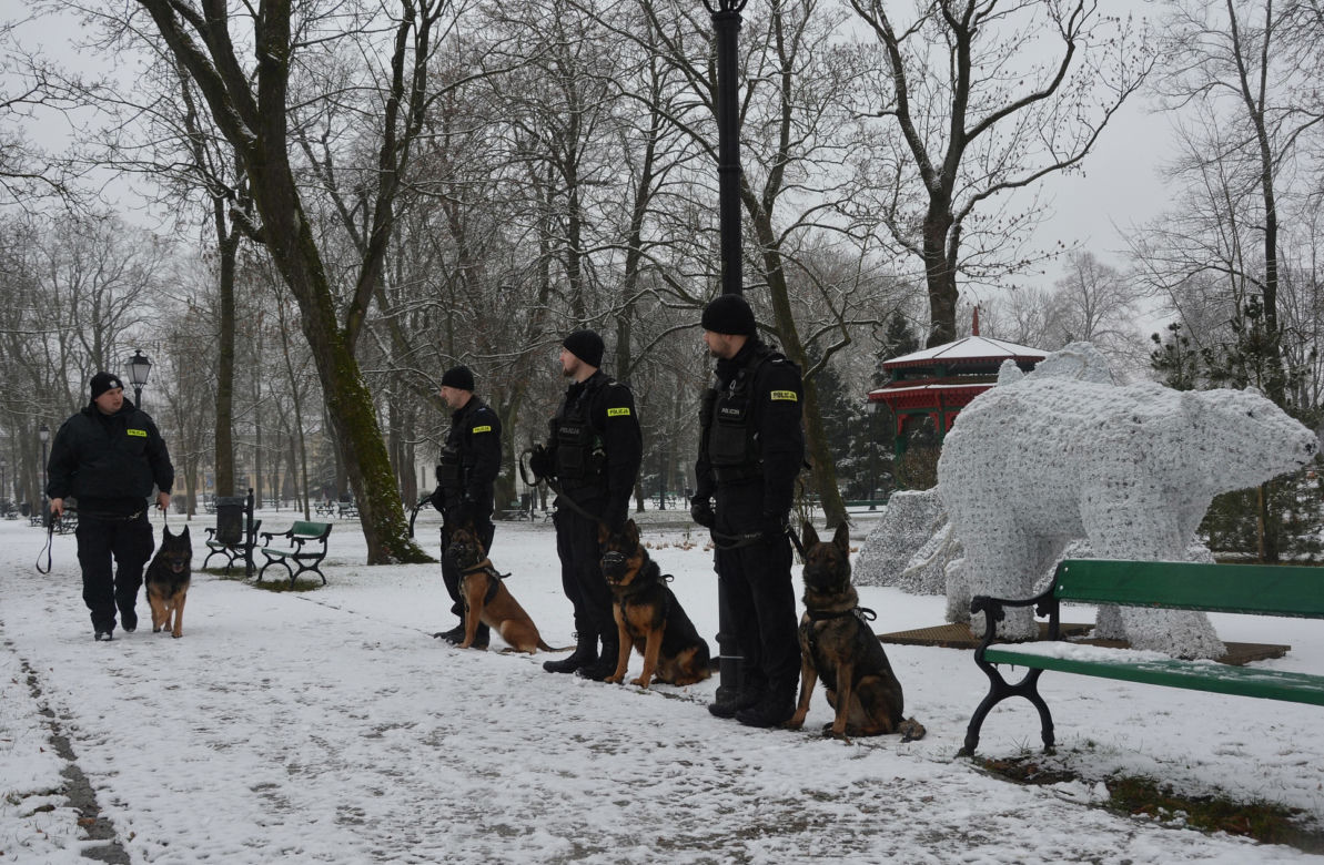 Tazer, policjant na 4 łapach, przeszedł na emeryturę