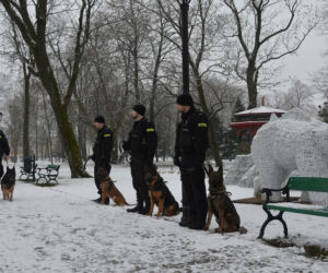 Tazer, policjant na 4 łapach, przeszedł na emeryturę