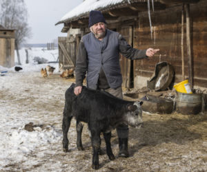 Szokujące sceny w Plutyczach. Gienek w kajdankach. Grożą mu 3 lata więzienia