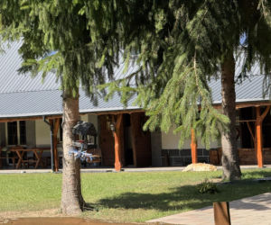 Tak naprawdę wyglądają Wilkowyje z Rancza