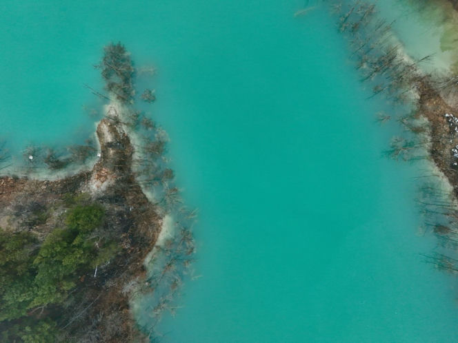 Szmaragdowa Dolina w Świętokrzyskiem