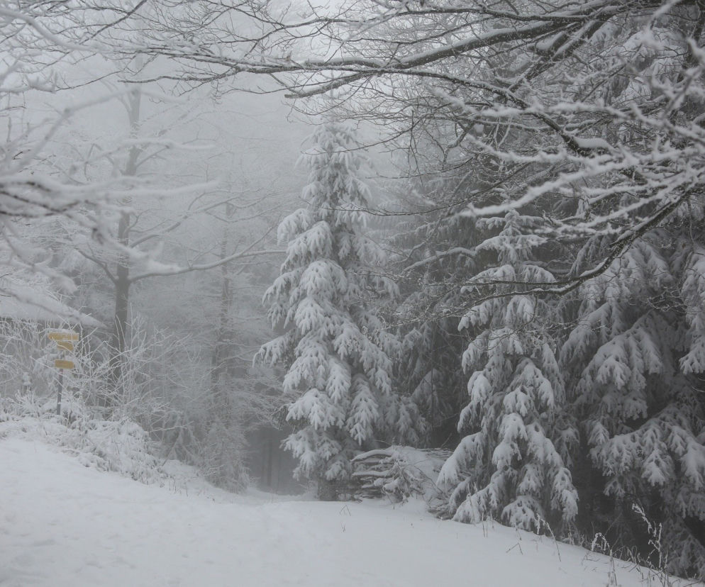 Pogoda na weekend, 4.12.-5.12. Śnieg, mróz i porywisty wiatr. Synoptycy biją na alarm! Prognoza IMGW  