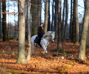 Rezerwat Segiet udostępni nowe szlaki dla mieszkańców