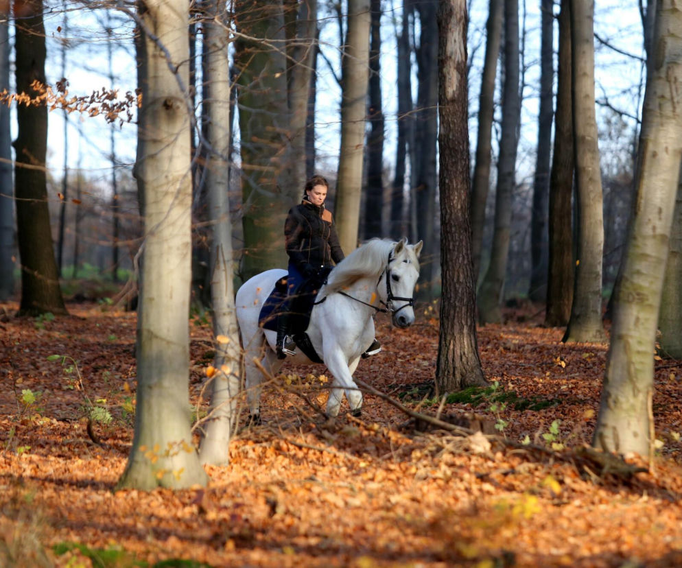 Rezerwat Segiet udostępni nowe szlaki dla mieszkańców
