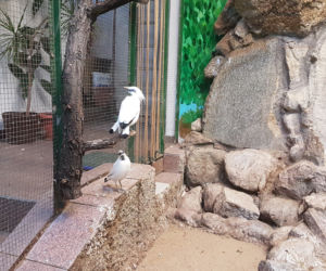 ZOO Toruń zaprasza!
