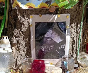 Drzewo pamięci Michaela Jacksona w Budapeszcie
