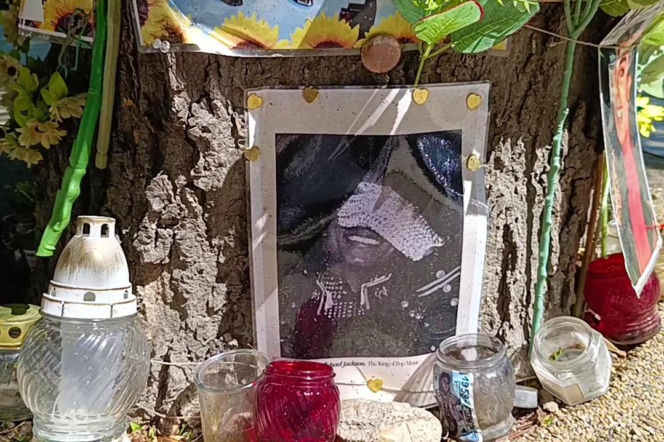 Drzewo pamięci Michaela Jacksona w Budapeszcie