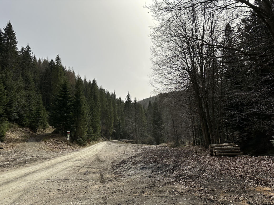 Ukryty szlak turystyczny pełen atrakcji. Nie każdy zna to miejsce w Małopolsce [GALERIA]
