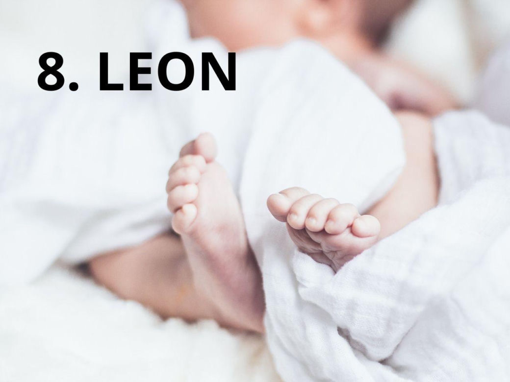 8. Leon (197)