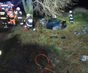 Audi wypadło z drogi i uderzyło w drzewo. Kierowca uwięziony w zmasakrowanym aucie!