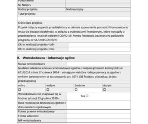 Dotacja na kapitał obrotowy. Wzór wniosku o dofinansowanie