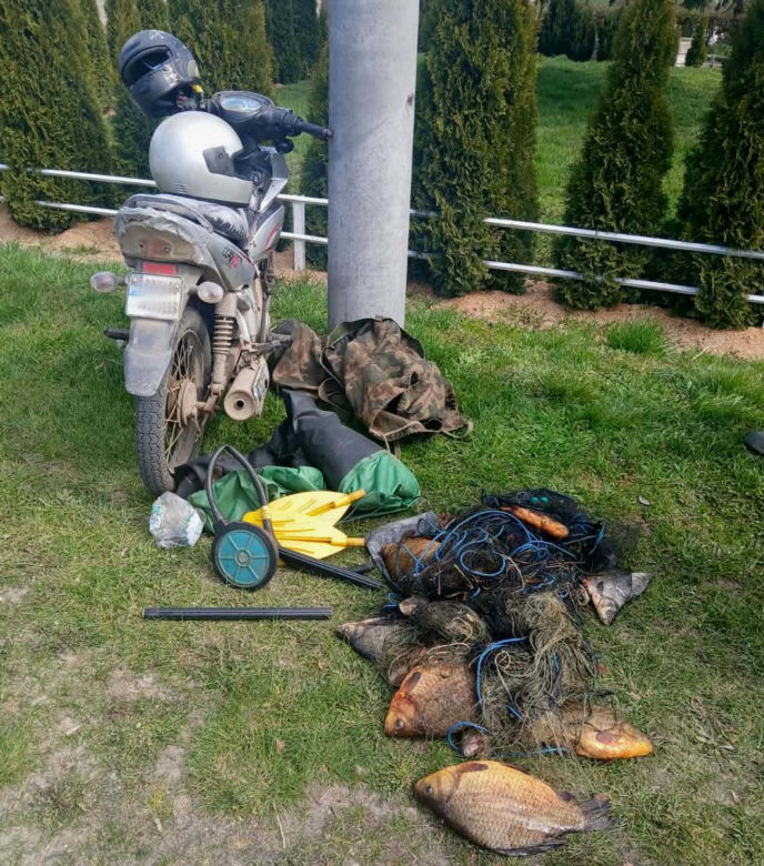 Kłusownicy z gminy Kisielice