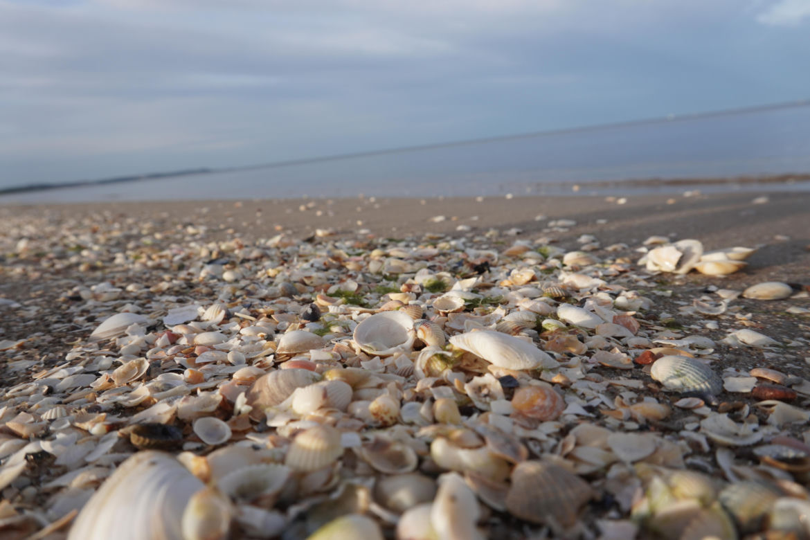 Plaża w Świnoujściu