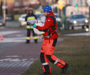 Na ratunek Oskarkowi