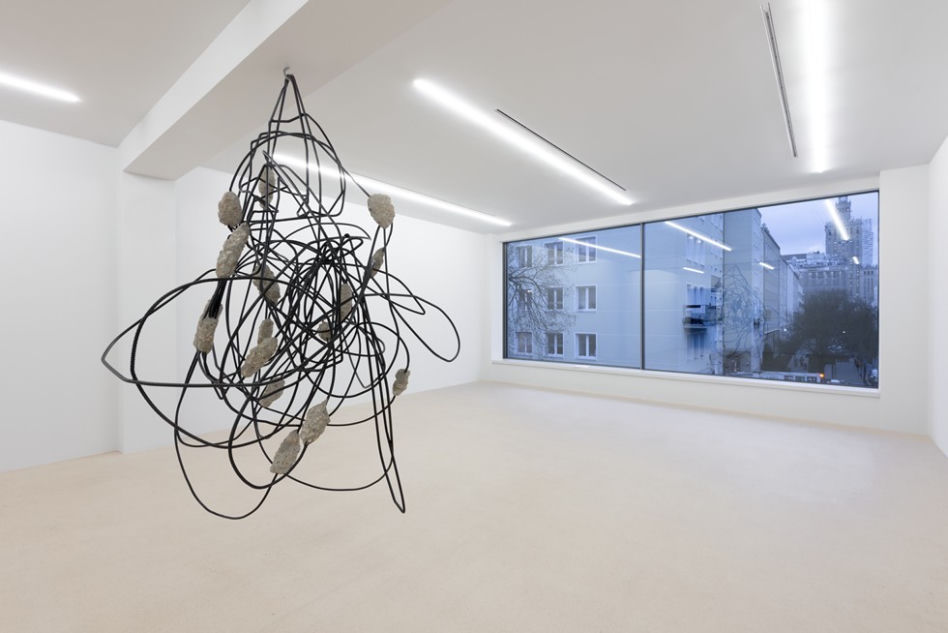 Monika Sosnowska, Martwa natura, Fundacja Galerii Foksal