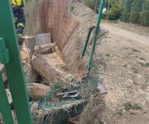Zerwane dachy, powalone drzewa i prawie 11 tysięcy odbiorców bez prądu!