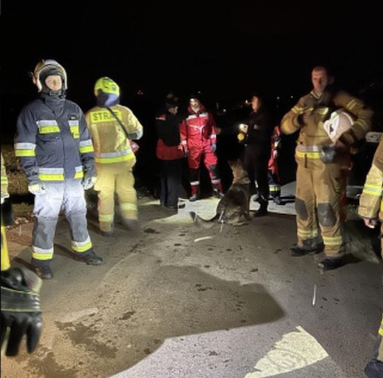 43-latek szukał poroża i zgubił się w lesie. Finał olbrzymiej akcji ratunkowej