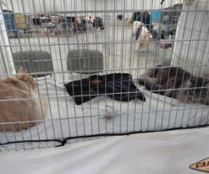 Zoopark Lublin 14.03.26