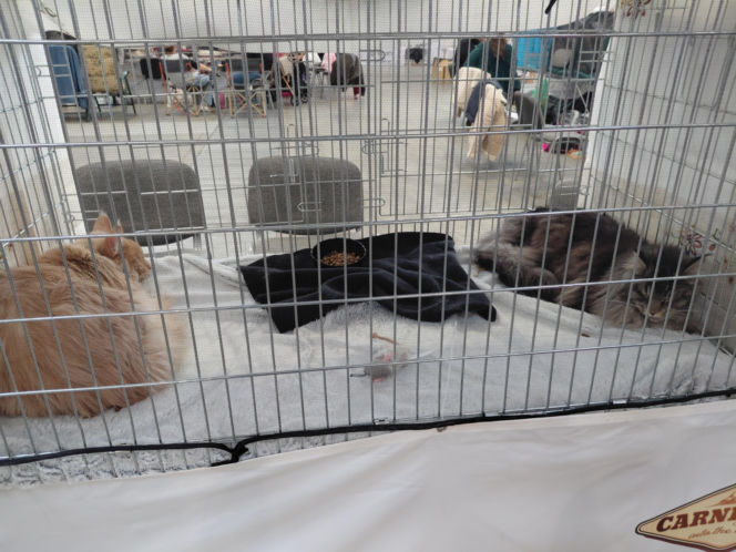 Zoopark Lublin 14.03.26