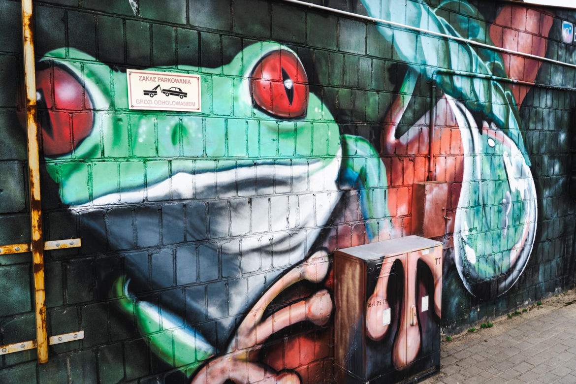 Przy ul. Mieszka I w Siedlcach można podziwiać całą galerię murali i graffiti