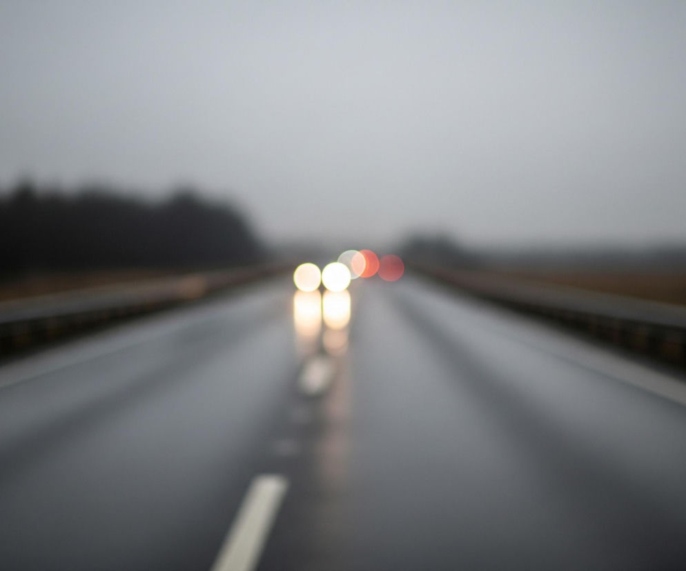 Mokry, asfaltowy pas drogi w perspektywie, z białą, rozmazaną linią ciągłą w prawym dolnym rogu, dominujący dolną część kadru. Na niej odbija się szereg jasnych, kolistych świateł, głównie żółtych i czerwonych, należących do nadjeżdżających samochodów, które są rozmazane i nieostre. Horyzont stanowi linia oddzielająca szarość pochmurnego nieba od ciemnych, niewyraźnych sylwetek lasu po lewej stronie drogi i jaśniejszego, rozmytego krajobrazu po prawej. Droga jest ujęta centralnie i prowadzi wprost w dal, a po obu stronach towarzyszą jej niewyraźne, ciemne barierki.