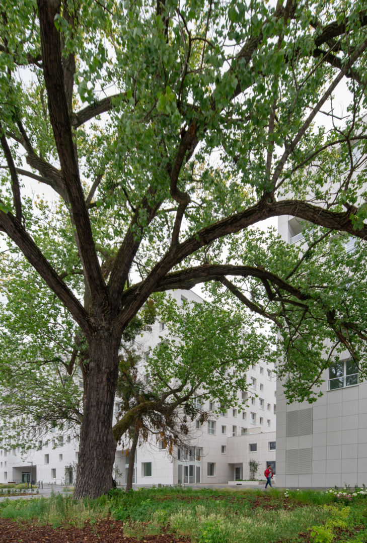 TBS na Ochocie projektu JEMS Architekci