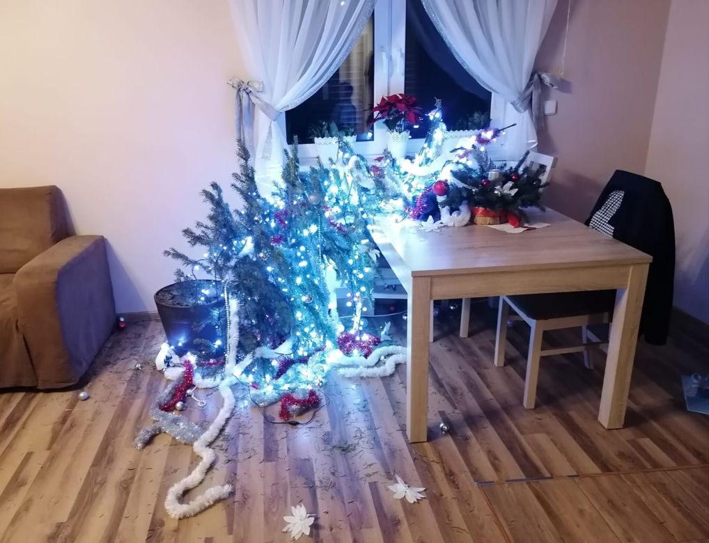 Wyjątkowe choinki słuchaczy VOX FM