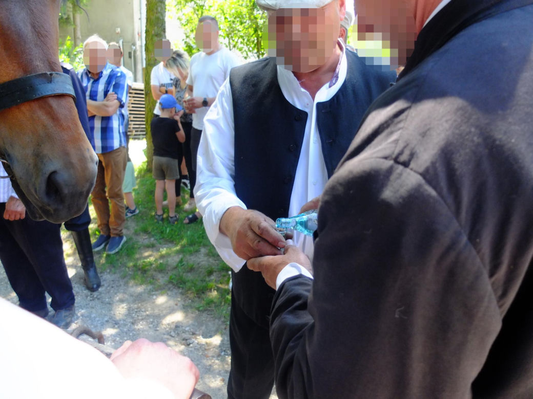 Jarmark Koński w Muzeum Wsi Lubelskiej. Ostre targowanie, próba uciągu i lit-kup na dyszlu [ZDJĘCIA, WIDEO]