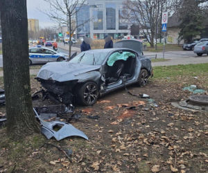 Wjechał na trawnik i uderzył w drzewo. Szokujący powód