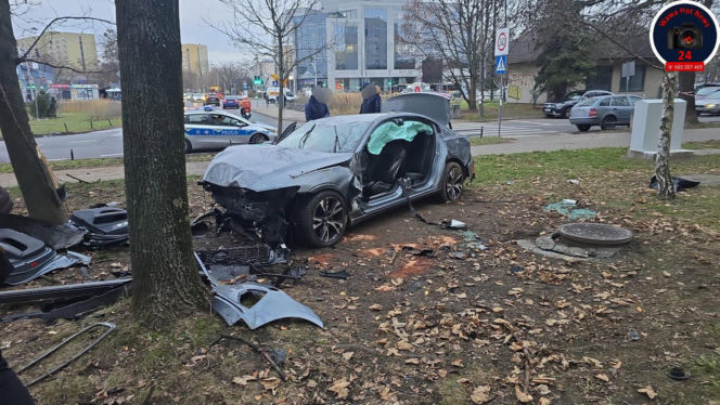 Wjechał na trawnik i uderzył w drzewo. Szokujący powód