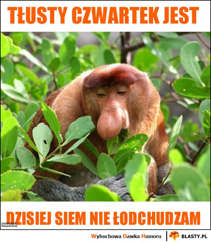 Memy na Tłusty Czwartek 2020. Śmieszne obrazki i gify na Tłusty Czwartek 20 lutego 2020