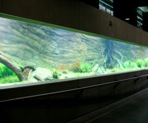 Rozbudowa ZOO