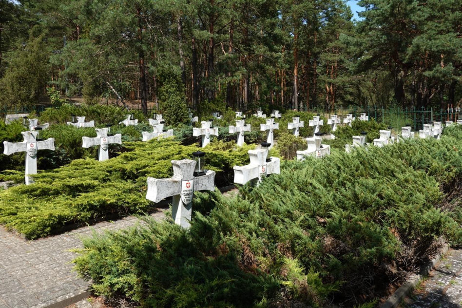 Kawaleria Powstania Warszawskiego. Miała 700 koni