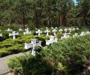 Kawaleria Powstania Warszawskiego. Miała 700 koni