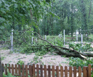 Ogromne straty po burzy nad regionem