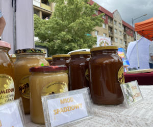 Regionalny Festiwal Pogranicza „Kartaczewo” 2026