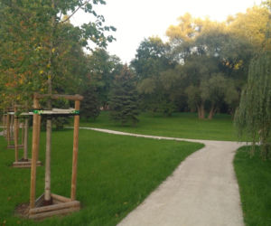 Park Jerzmanowskich po remoncie 