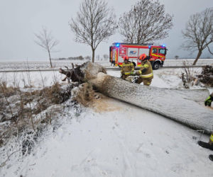 Wichura zniszczyła zabytkową kapliczkę przy sanktuarium